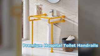 Durable Hospital Toilet Handrails for Patient Safety