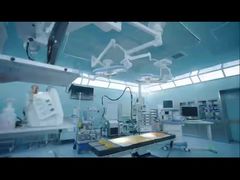 disposable endoscope